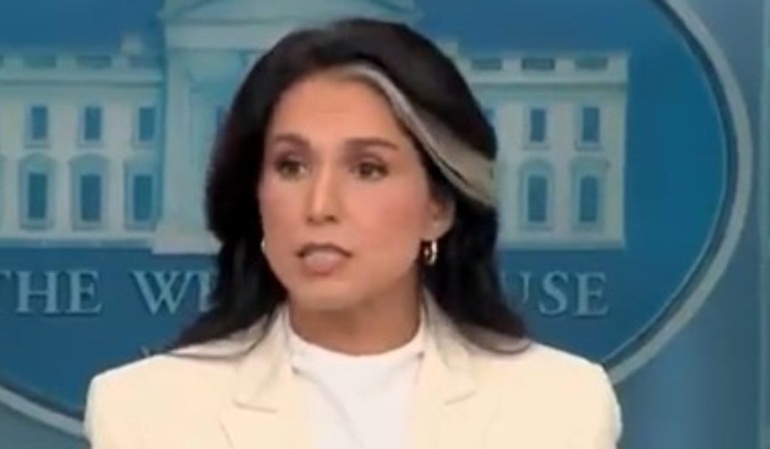Panic: CNN Cuts Away from Tulsi Gabbard Right as Starts Exposing Barack Obama’s Treasonous Actions in Russia Collusion Hoax (VIDEO)