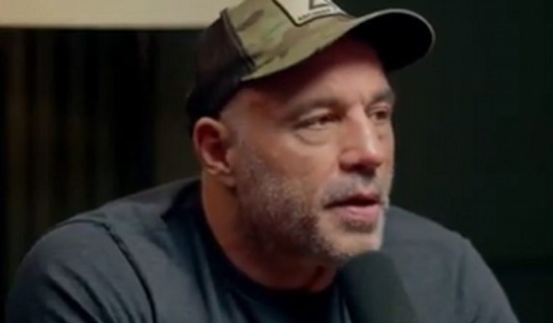 Joe Rogan Reveals the Reasons He Decided to Interview Trump on His Podcast Before the Election (VIDEO)