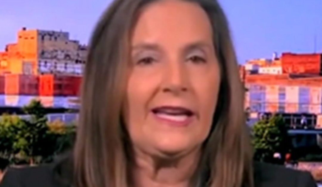 MSNBC Contributor Implies Violence Against ICE Agents is Justified: ‘Lawful Right of Self-Defense’ (VIDEO)
