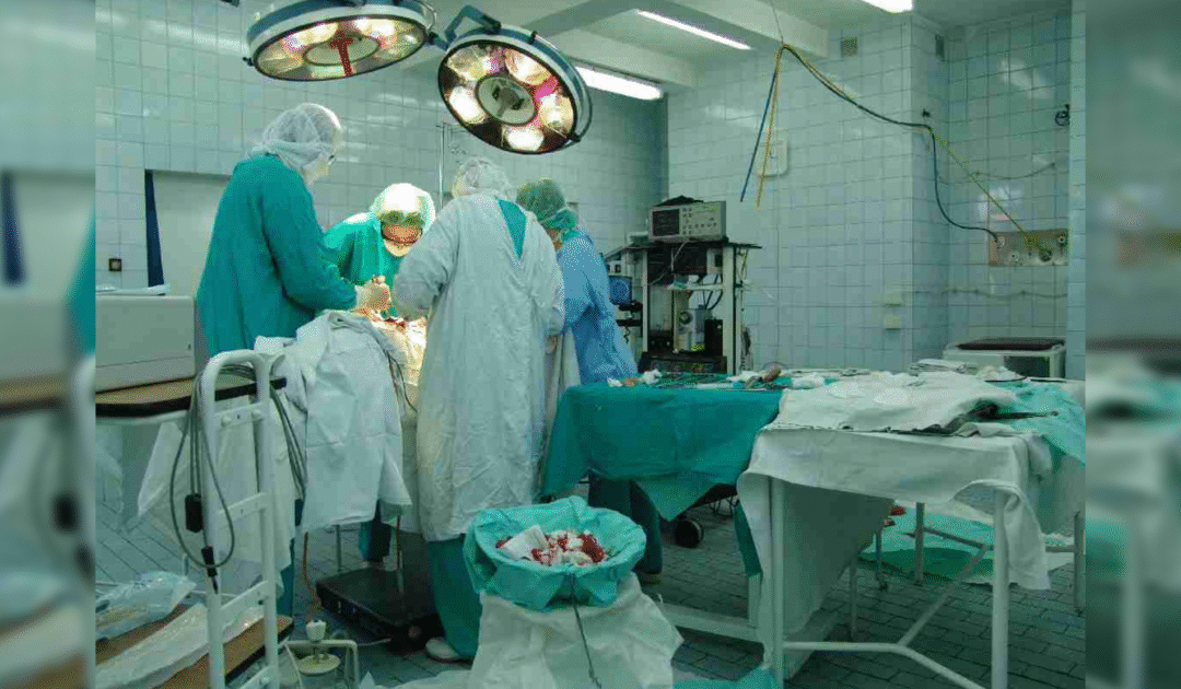 Feds reveal dozens of organ donors may not have been dead when ‘procurement’ processes started!
