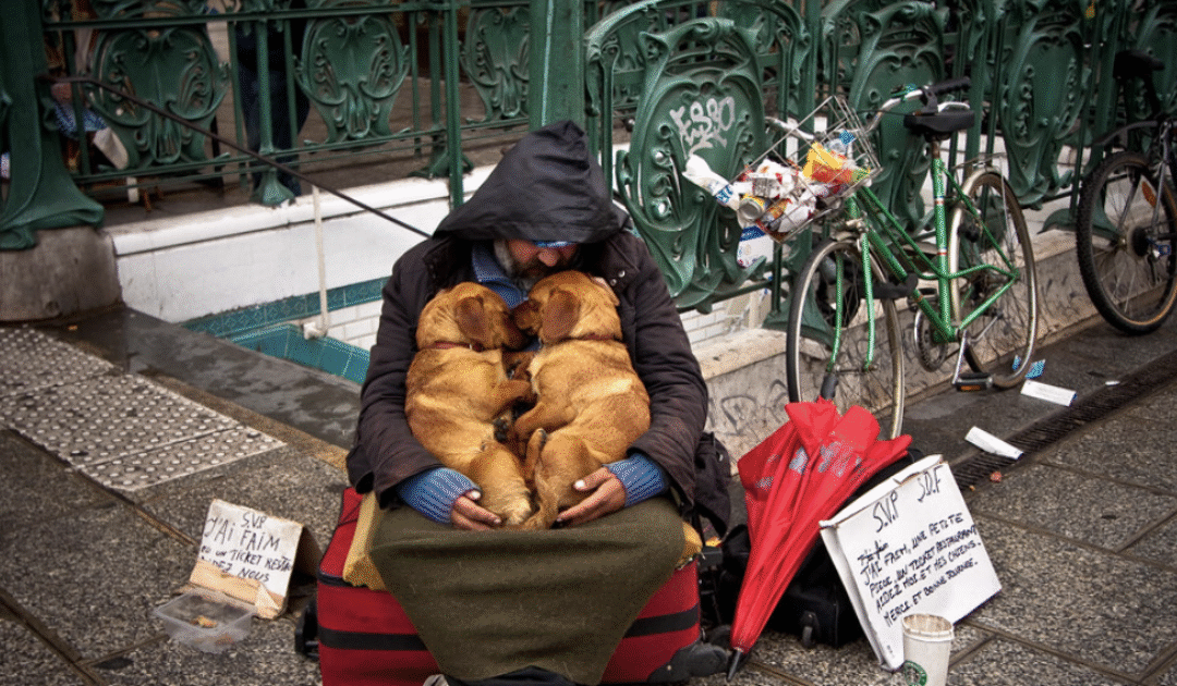Macron’s Globalist Economic Betrayal: Poverty Levels Rise to Unprecedented Levels in France
