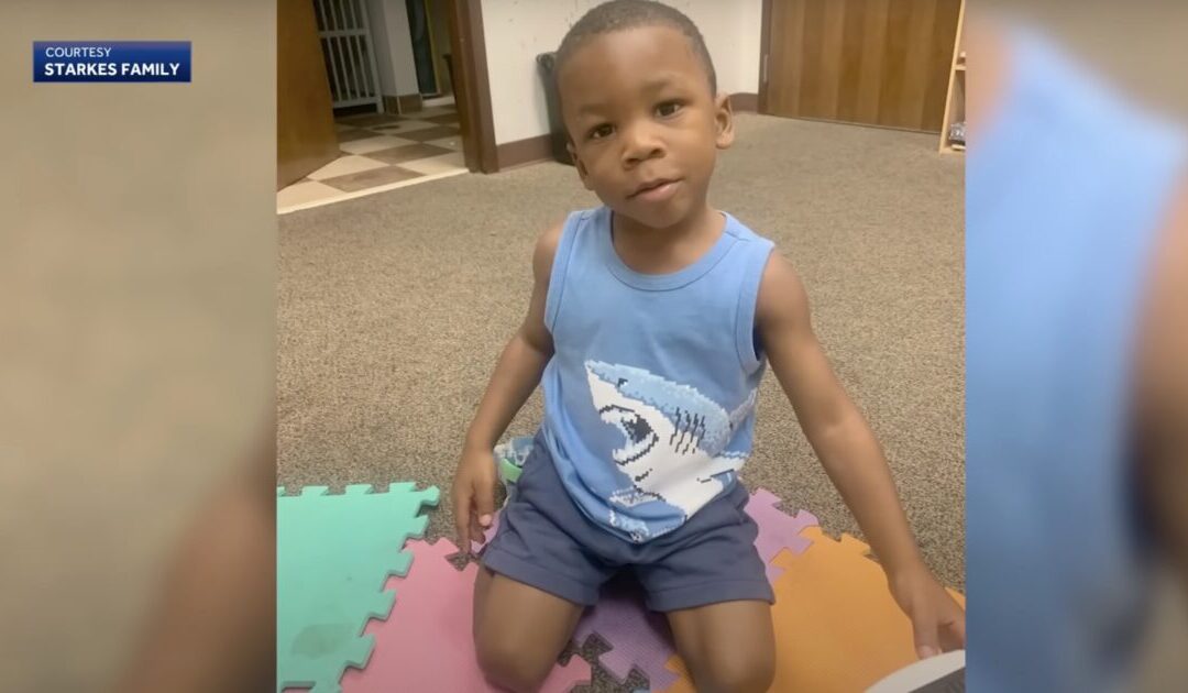 HORROR: 3-Year-Old Boy Dies in Hot Car While with Child Services — Government Took Him From Father, Then Left Him to Die