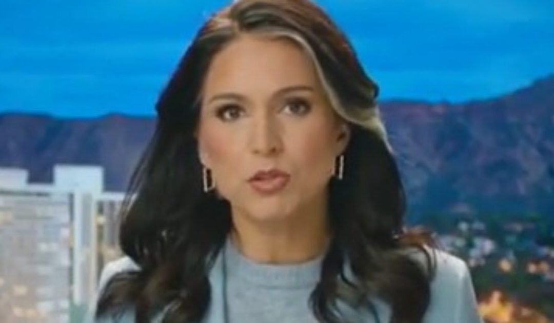 DNI Tulsi Gabbard Fires Back at Barack Obama After He Issues a Pathetic Denial of His Treasonous Actions in the Russia Collusion Hoax (VIDEO)