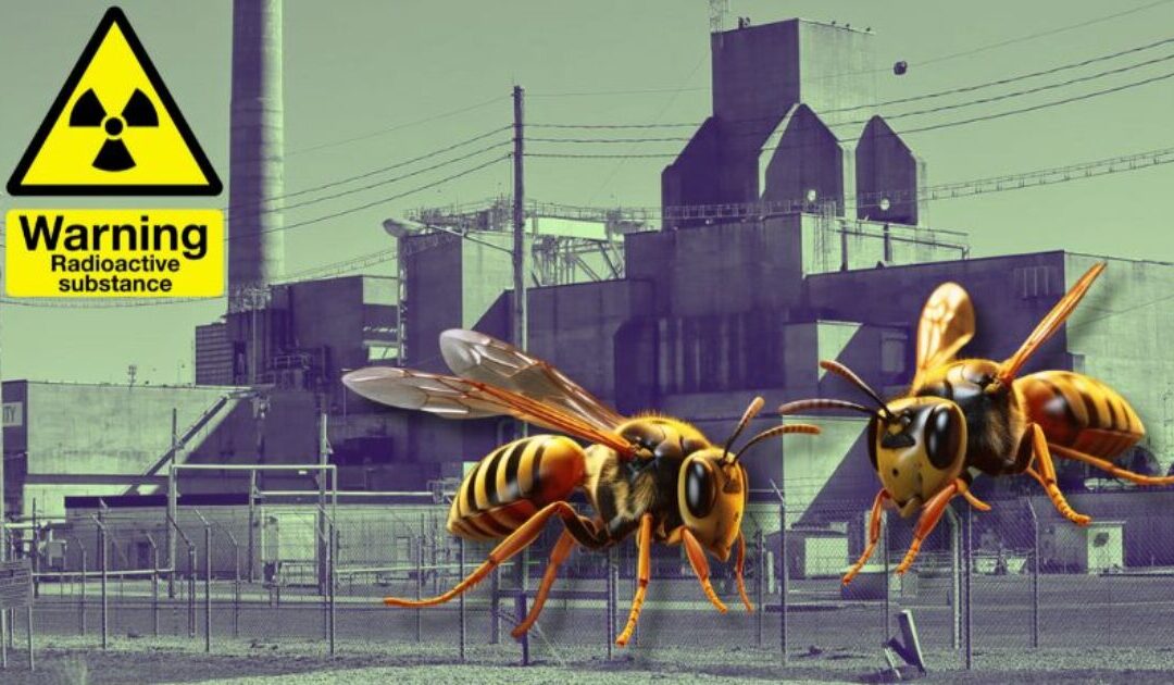 Radioactive Wasp Nest Discovered Near South Carolina Nuclear Weapon Facility