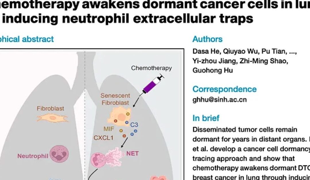 Shocking Study Shows Chemotherapy Reactivates Dormant Cancer Cells – Triggers Metasis