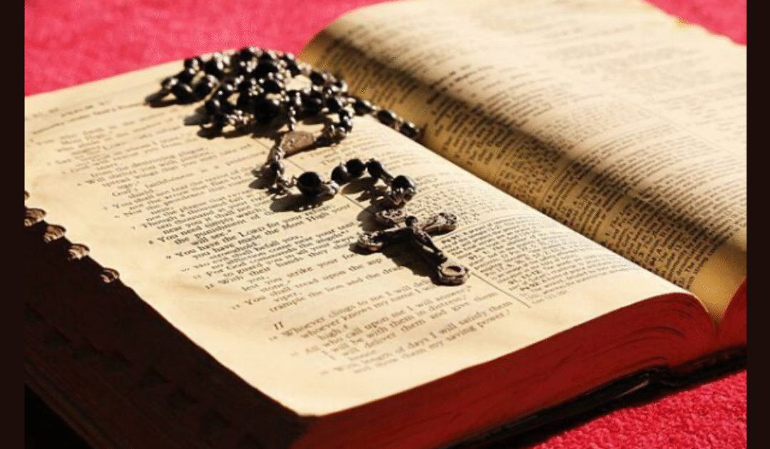 Upcoming Documentary on Diocese of Charlotte’s Latin Mass Suppression (Video)