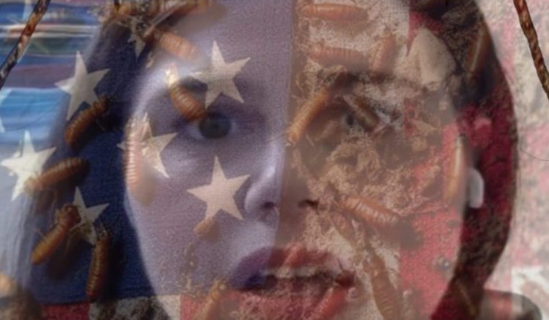 Justice Didn’t Put Tina Peters in Prison, Villains in the Deep State Did