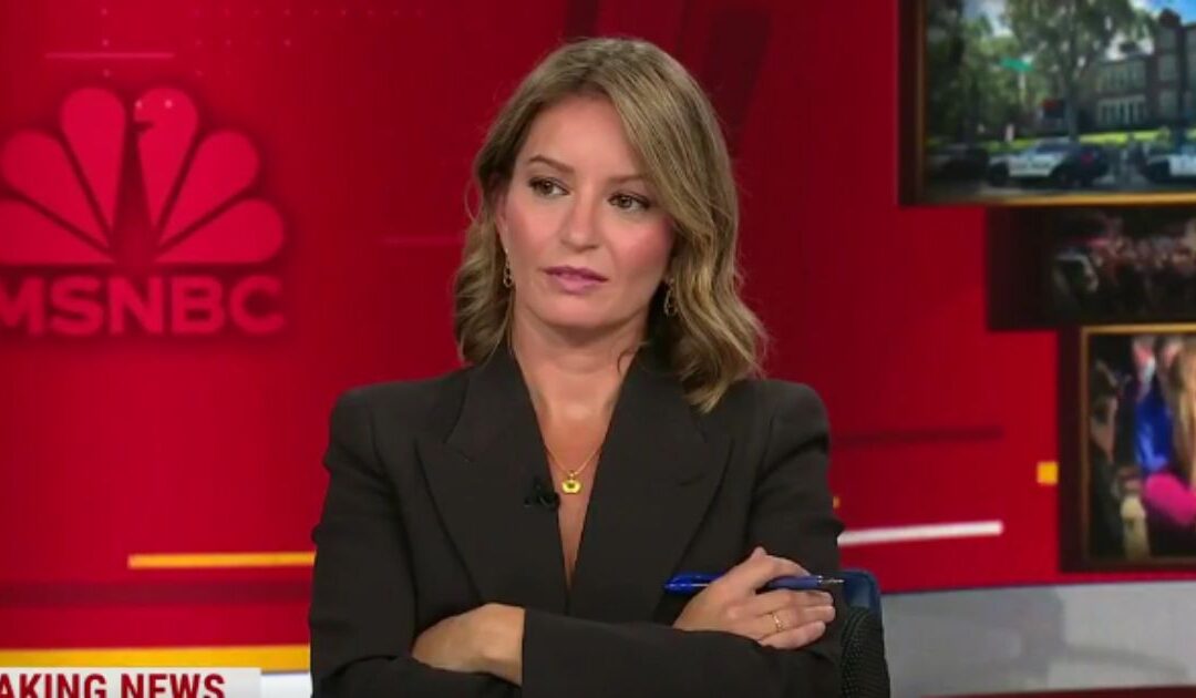 MSNBC Panel Talks Banning All Firearms After Trans Shooter Targets Catholic School: ‘Do What Australia Did’