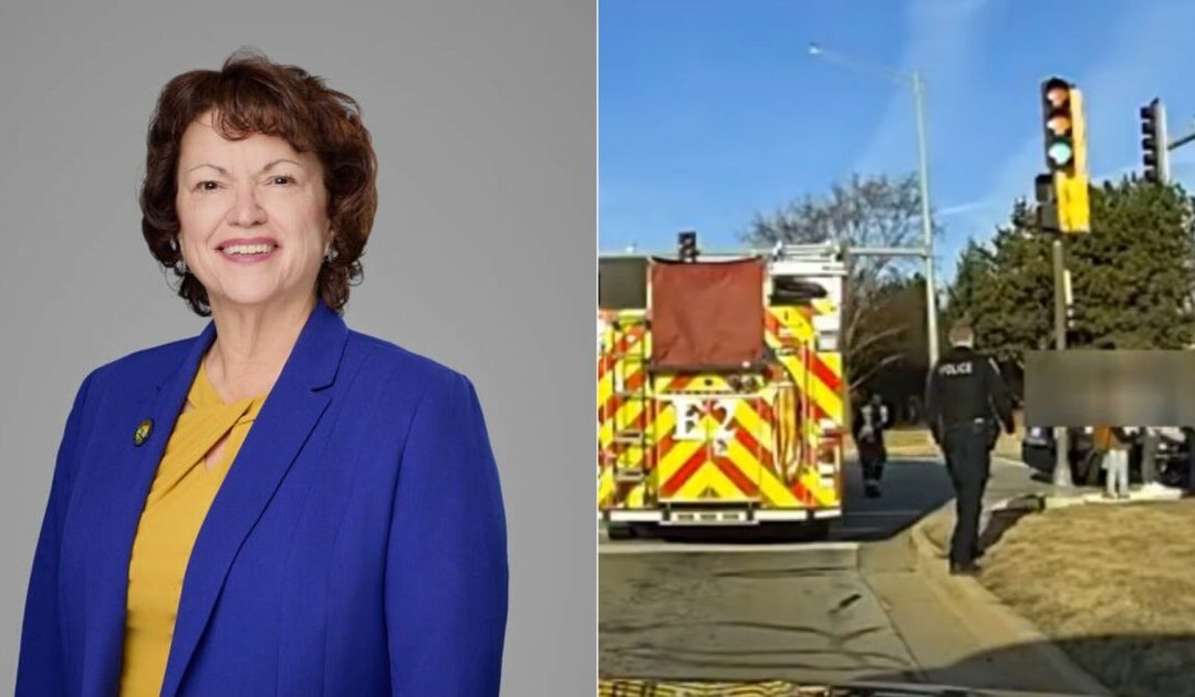 Will County Democrat Jacqueline Traynere — Who Once Struck a Child With Her Car — Now CHARGED With Three Counts of Computer Tampering After Allegedly Hacking Fellow Board Members’ Emails