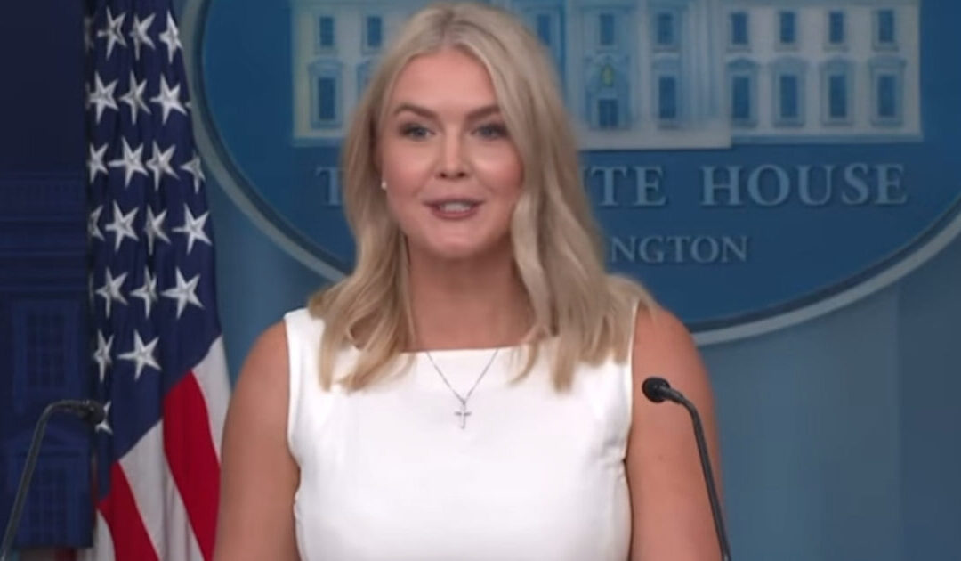 LOL! Leavitt Makes Jacqui Heinrich, Who Previously Claimed Putin “Steamrolled Trump,” Admit that Ukraine War Would have Never Started Under Trump (VIDEO)