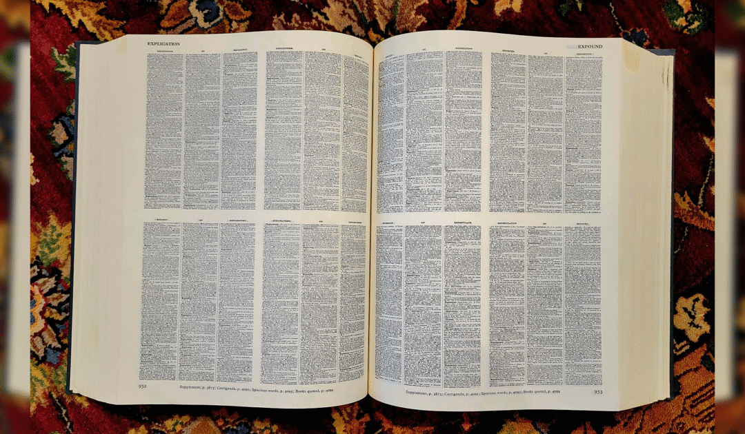 ‘Skibidi’ and Other Slang Words Favored by Young Americans Find Their Way Into the Dictionary