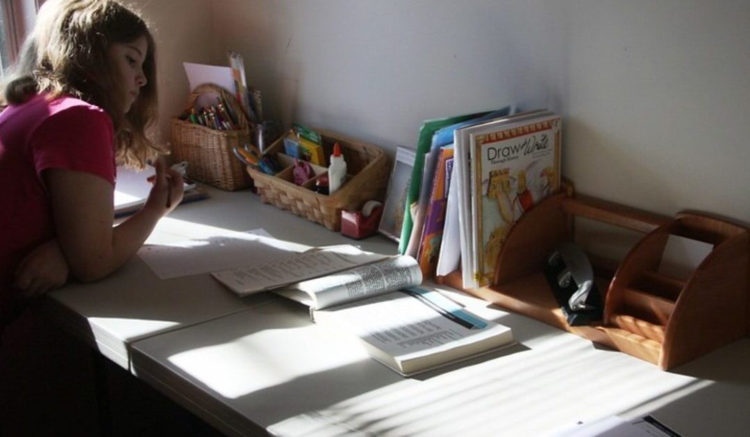 New Jersey Democrats Want to Force DEI and Wellness Checks on Homeschooled Children
