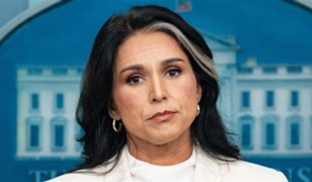 BREAKING EXCLUSIVE: NYT Publishes Deep State Hit Piece Blaming Tulsi Gabbard Rather Than DOJ for John Brennan Not Being Indicted Yet