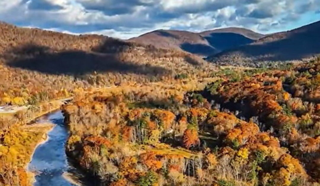 Four Hikers in New York’s Catskill Mountains Take Psychedelic Mushrooms, End Up Calling Rangers for Help After Freaking Out
