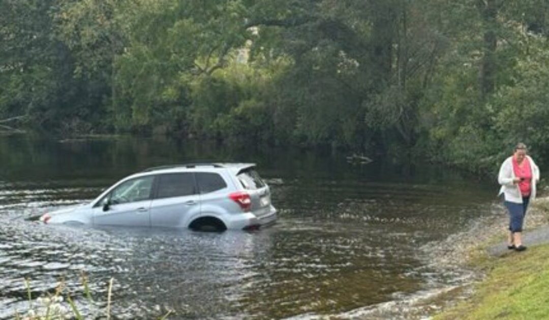 Car Rolls into Lake After Massachusetts Karen Forgets to Put Car in Park When She Gets Out to Heckle ICE Agents Arresting Illegal