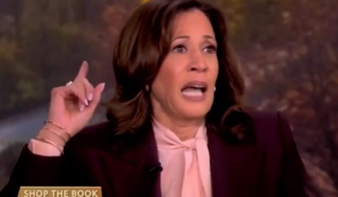 Kamala Harris Reveals How She Felt After Learning Trump Stomped Her in the 2024 Election as Her Interview on “The View” Turns into a Complete Disaster (VIDEO)