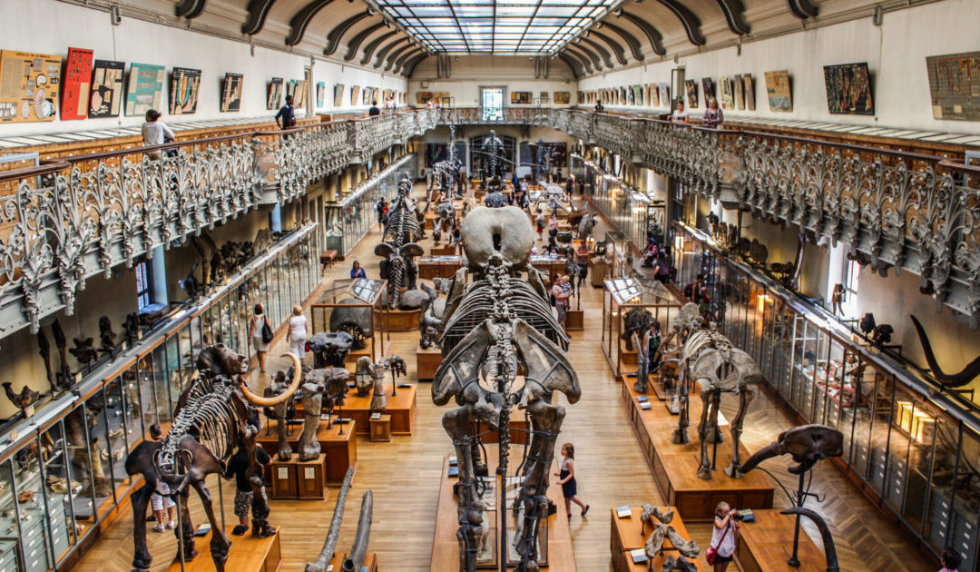 Paris Museum Hit by $700,000 Gold Heist