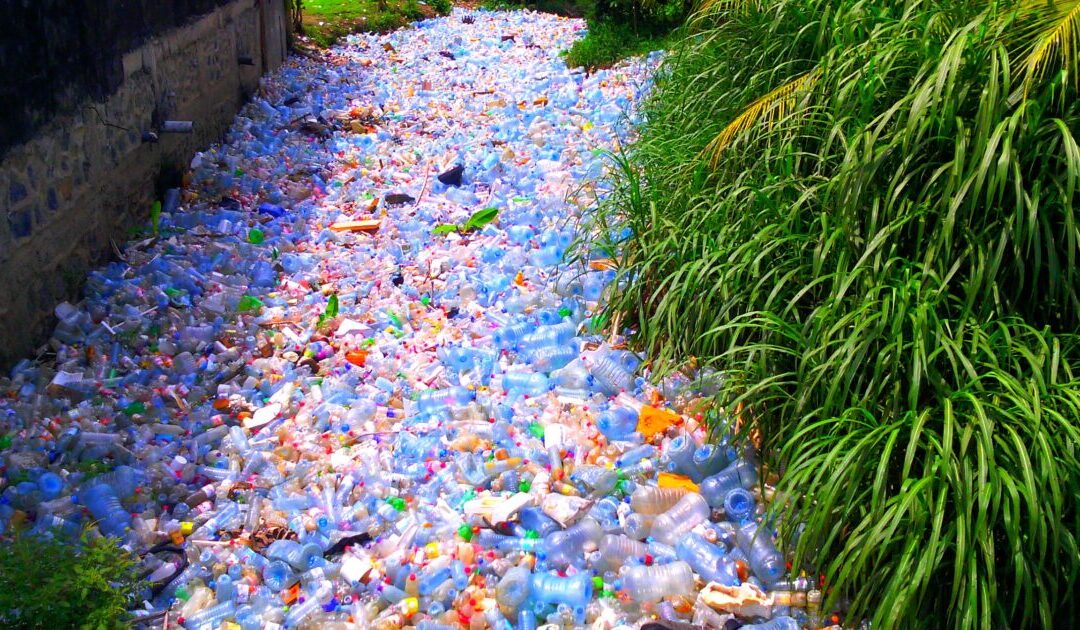 Entrepreneurs, Not Government, Will Solve the Pollution Problems — No Tax Increases, No Government Restrictions