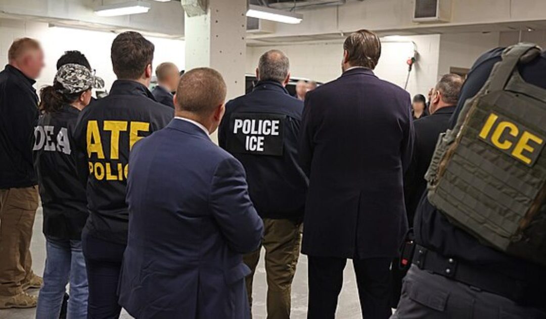 ICE Arrests Haitian Business Tycoon as Trump Targets Corrupt Politicians