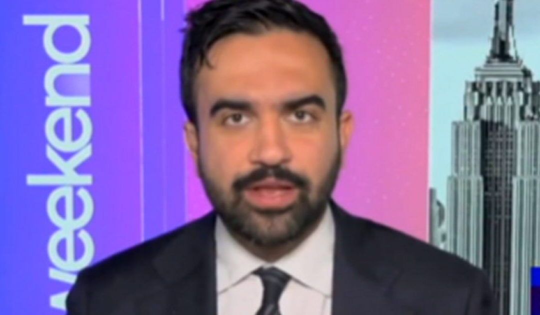 Zohran Mamdani Wants to Spend $100 Million in NYC Tax Dollars on Increased Services for Illegal Aliens (VIDEO)