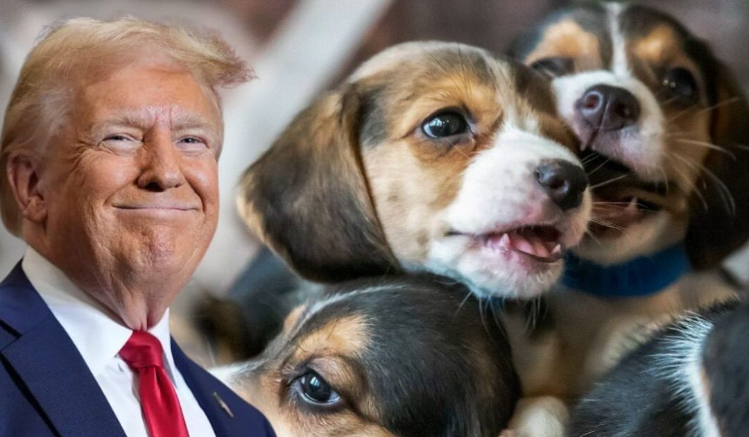 Trump Administration Continues Historic Efforts to Save Lab Animals