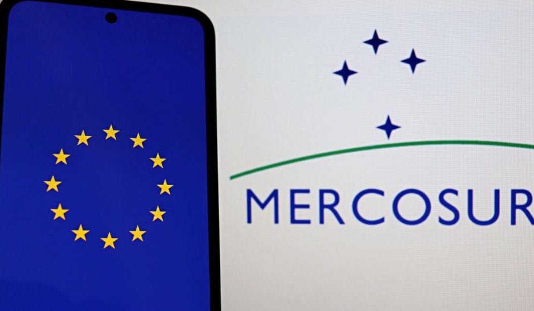 39 MEPs from the European People’s Party Support VOX to Halt the Mercosur Agreement with a Blockade of at Least One Year, None of Them Spanish