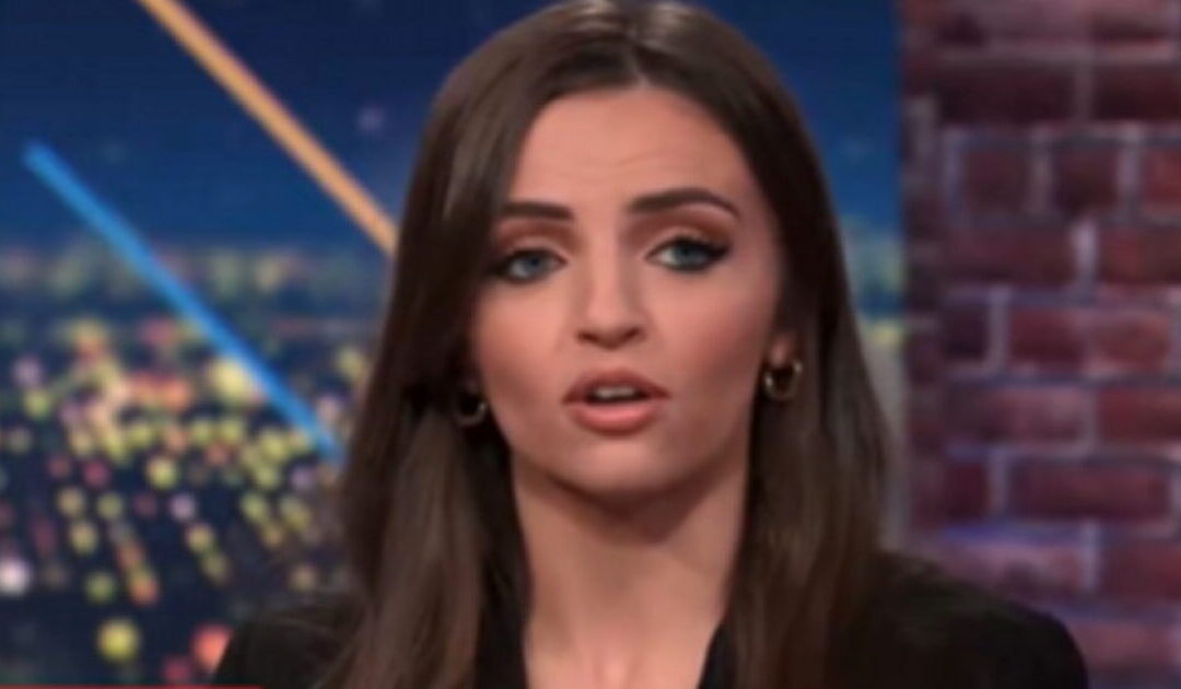 Conservative Guest Schools CNN Panel on the Truth About the Fake News That ICE Detained a 5 Year-Old (VIDEO)