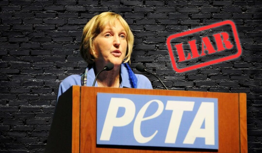 PETA’s Latest Hoax Exposed: Liberal Animal Rights Group Falsely Claims Trump Funding Russian Cat Torture, But White Coat Waste and Republican Lawmakers Ended It Years Ago