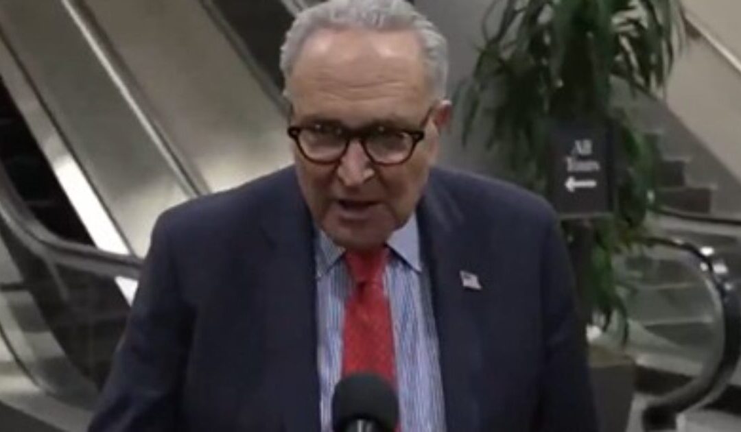Schumer Announces Senate Democrats Will Block DHS Funding Bill Over Minneapolis Shooting