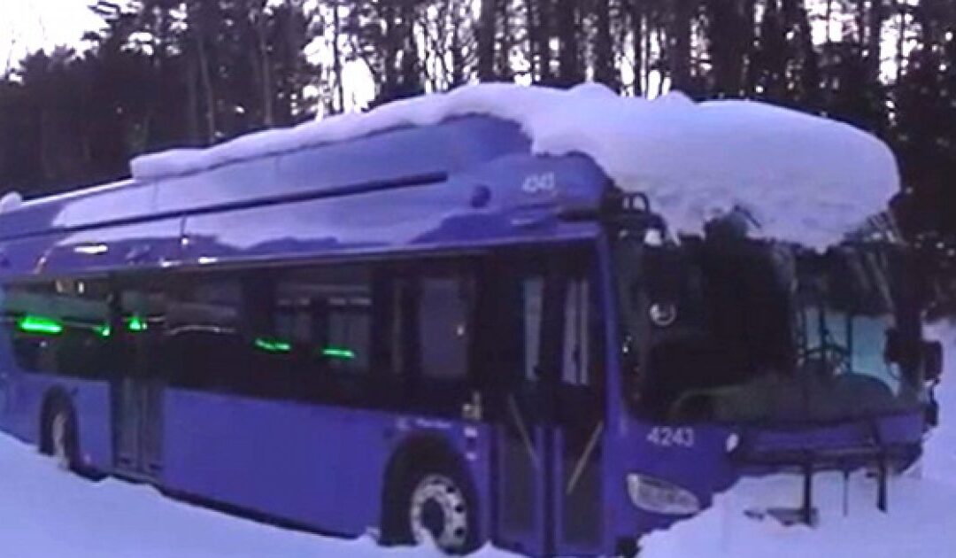 GENIUS: Vermont Spent Millions on Electric Buses That Turned Out to be ‘Unreliable’ in Cold Weather