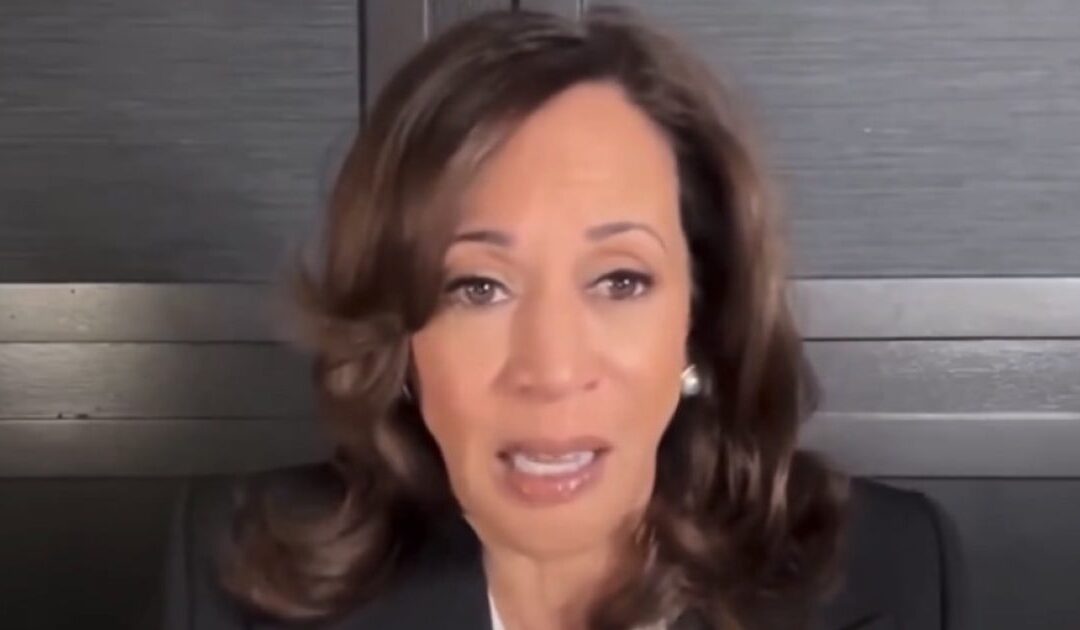 Huh? Kamala Harris Responds to Trump’s State of the Union: “Full of lies… Reminds Me of Our Kids Going to Show and Tell at School” (VIDEO)