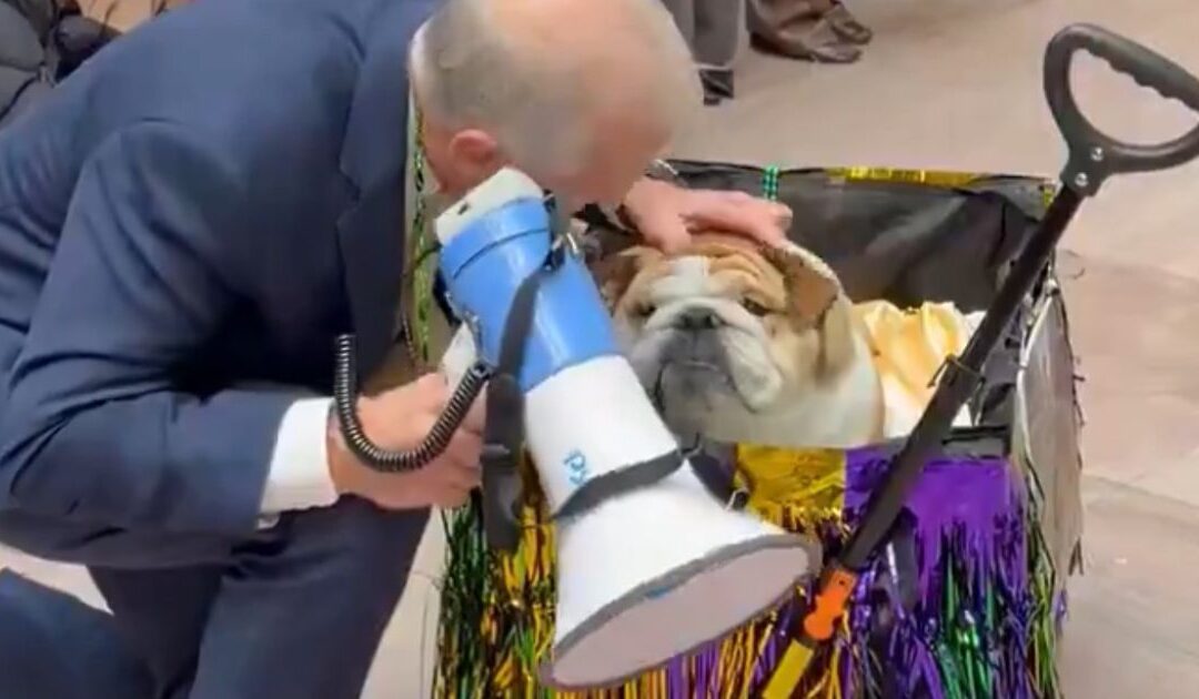 ‘Doggi Gras Pawrade’ – Senators Under Fire For Holding ‘Dog Parade’ as SAVE America Act Stalls (VIDEO)