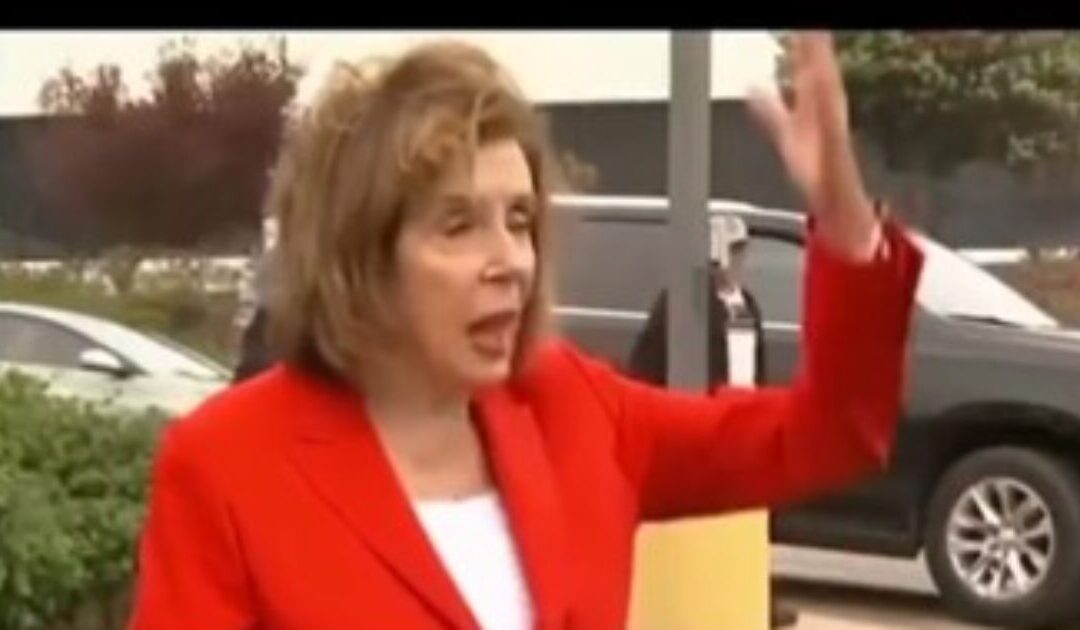 Trump Roasts Democrats for Standing Up Against Insider Trading at SOTU – Calls Out Crooked Nancy Pelosi (VIDEO)