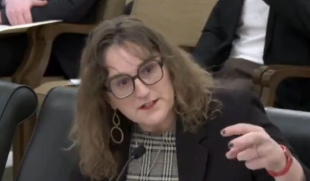 WATCH: Creepy Minnesota Transgender Lawmaker Leigh Finke Opposes Age Verification for Porn Sites, Claims Content Can Be ‘Educational’ for Queer Kids