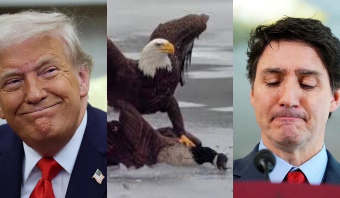 White House Drops Epic Eagle Meme on Trudeau After USA Crushes Canada in Olympic Hockey