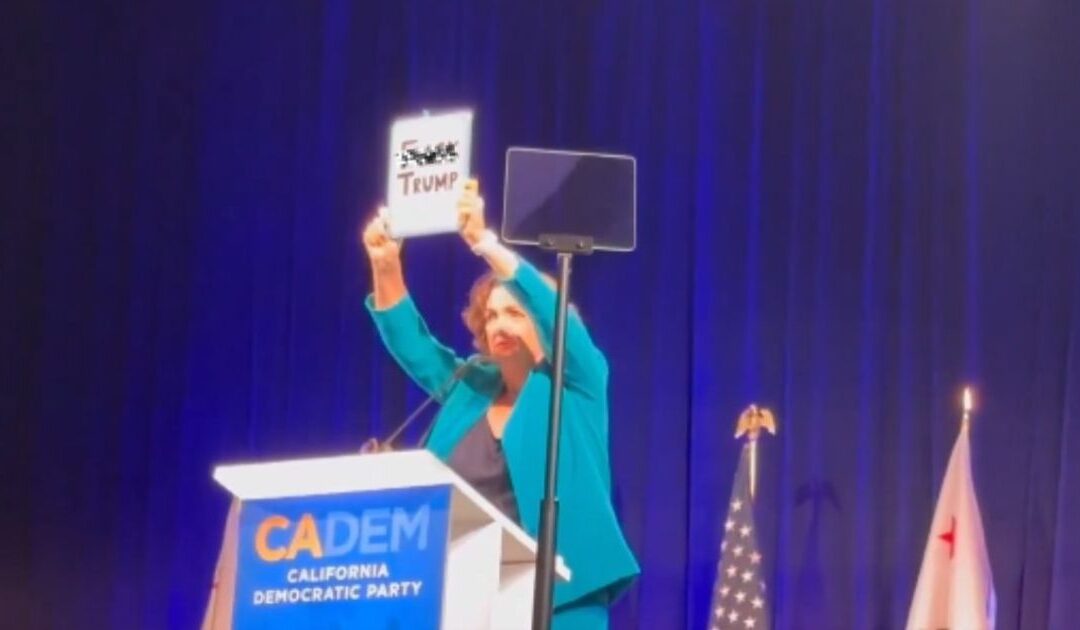 WATCH: California Gubernatorial Candidate Katie Porter Waves Vulgar ‘F— Trump’ Sign at California Democratic Convention