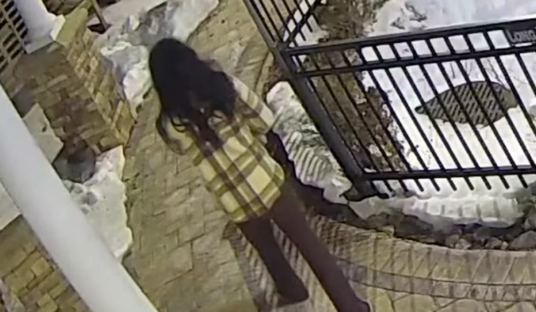 Authorities Release Video of Suspect in Murder of Millionaire Philanthropist at Senior Living Facility
