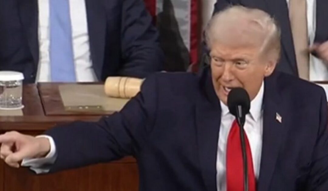 TRUTH: Trump Points to Democrats in the Chamber and Calls Them Out – ‘These People Are Crazy’ (VIDEO)