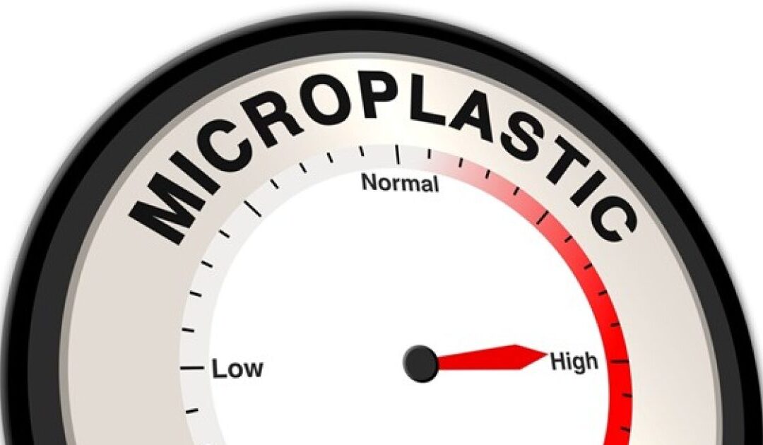 McCullough Foundation On The Dangers Of Microplastics – And How To Get Them Out Of Your System