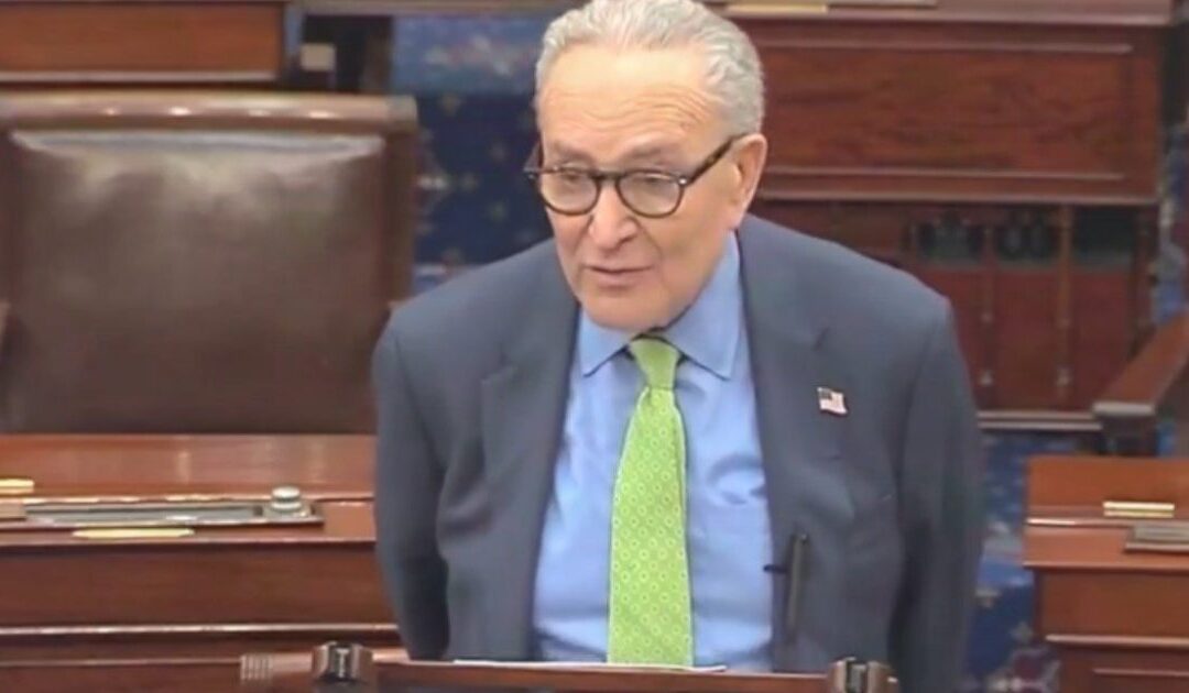 HERE IT IS: Schumer Slips, Admits Illegal Aliens Vote in US Elections (VIDEO)