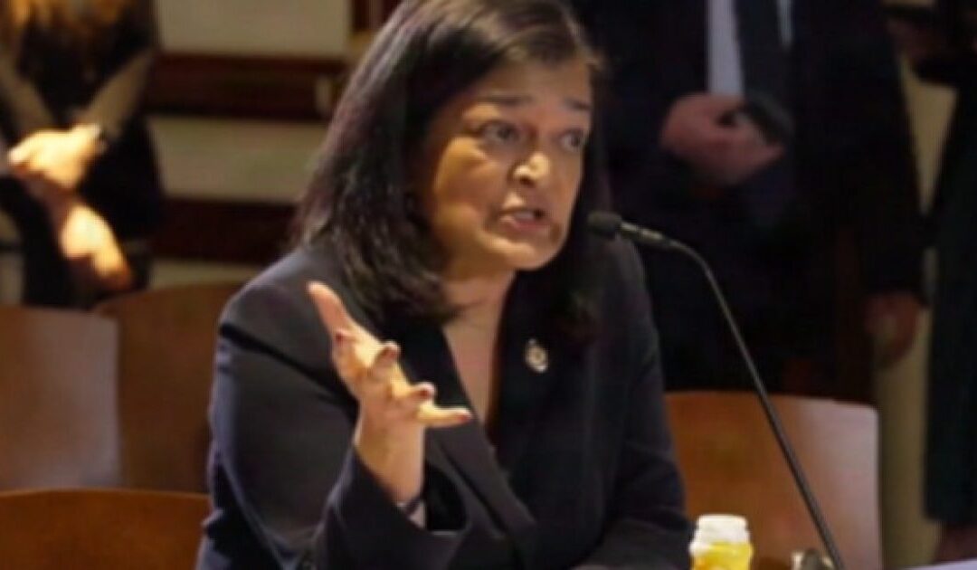 Far Left Rep. Pramila Jayapal Wants Americans to Pay Reparations to Illegal Aliens Who Have Been ‘Traumatized’ by ICE (VIDEO)