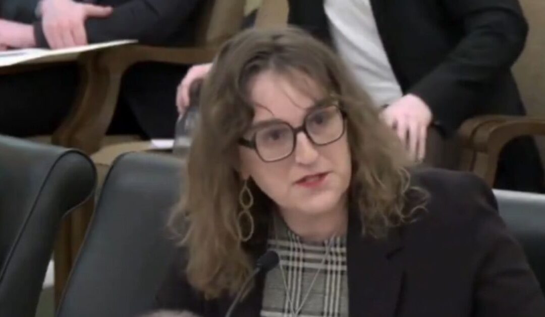 SICK AND EVIL: Every Single Minnesota House Democrat Votes to Let Children Watch Pornography, Age Verification Bill Dies in 67-67 Tie