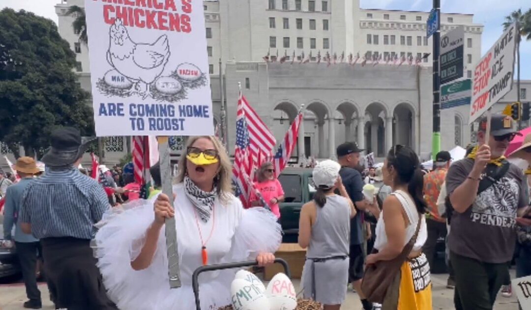 HILARIOUS VIDEO: Unhinged Liberal Woman Clucks and Wears Full Chicken Costume at ‘No Kings’ Los Angeles to Protest President Trump