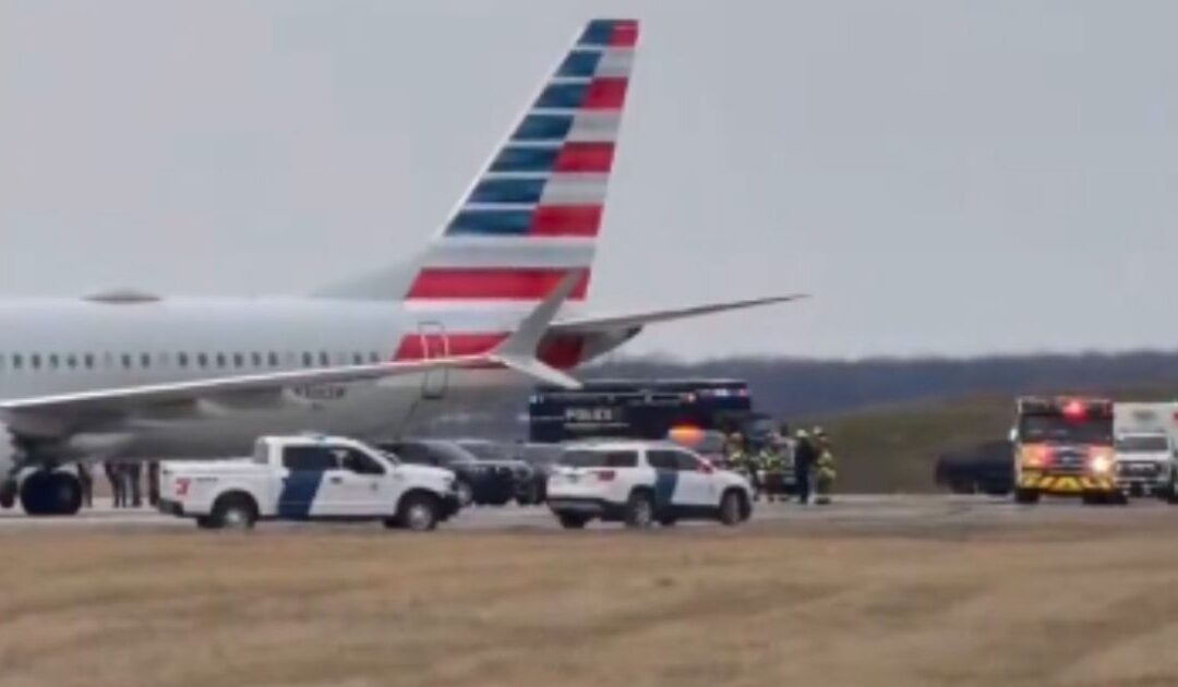 FBI Agents Swarm Isolated American Airlines Jet at Detroit Metro Airport After ‘Disruptive Customer’ Forces Diversion of NYC-to-Chicago Flight (VIDEO)