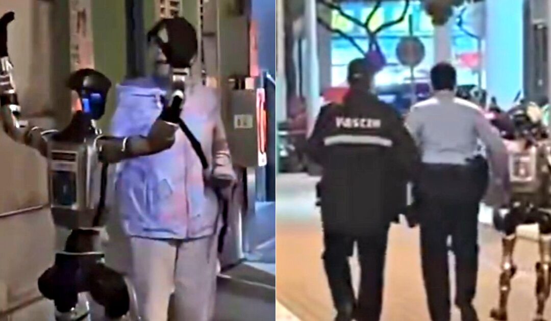 WATCH: First ‘Robot Arrest’ Takes Place in China After Droid Harasses Elderly Woman in the Streets
