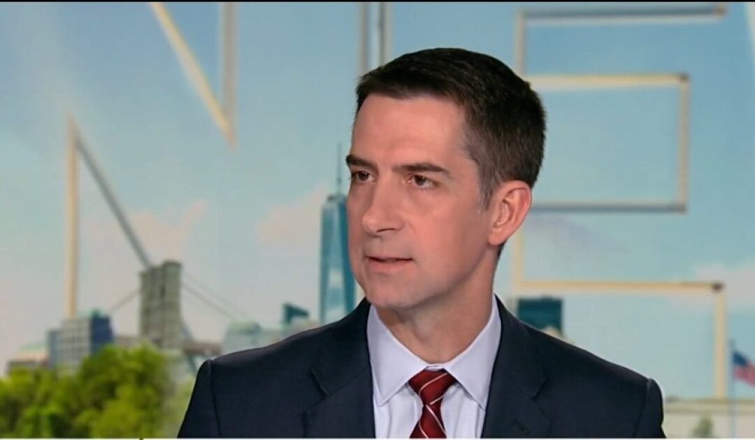 Senator Tom Cotton Blasts Democrats for Not Funding DHS – (VIDEO)