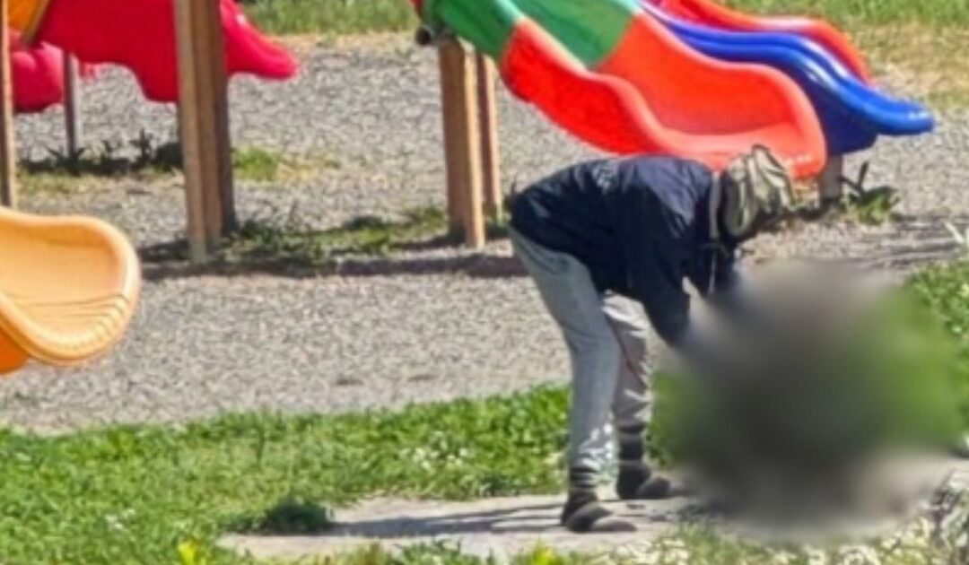 Trump Was Right Again: Locals Horrified as Nigerian Immigrant Kills, Cooks Cat Next to Playground – Reports