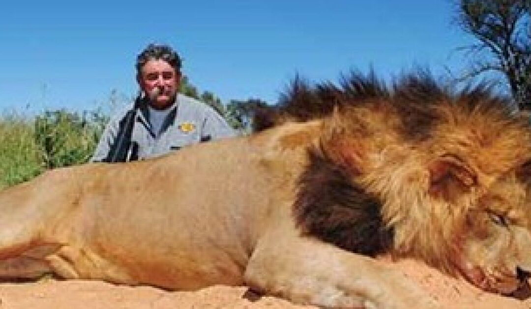 Millionaire American Big-Game Hunter TRAMPLED TO DEATH By Angry Elephants in Africa While Stalking a Shy and Elusive Animal