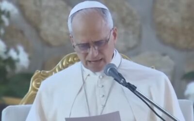 Pope Leo Changes Tack on Immigration — Sends Surprise Message to Africans Looking to Migrate (VIDEO)