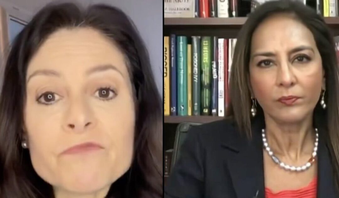 One Very Good Reason Michigan’s Lawless AG Dana Nessel Should Not Be Able to Prevent Asst AG Harmeet Dhillon From Obtaining Wayne County’s 2024 Election Docs